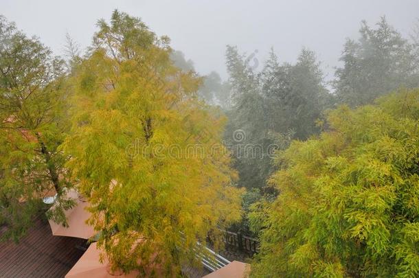 空闲时间农场向雾和雨