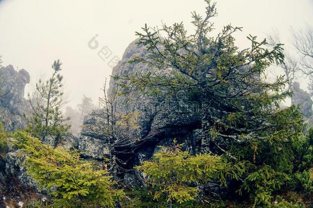 黑暗的山风景和<strong>大</strong>的<strong>神秘</strong>的岩石<strong>大</strong>量的在旁边雾