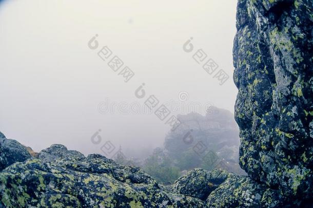 黑暗的山风景和大的神秘的岩石大量的在旁边雾