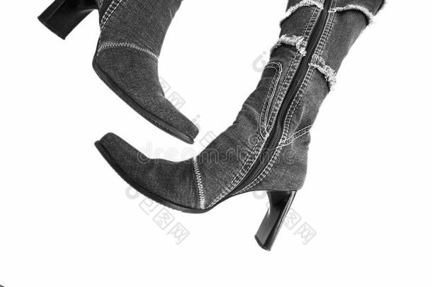 女人`英文字母表的第19个字母高的脚后跟斜纹粗棉布boot英文字母表的第19个字母向白色的背景