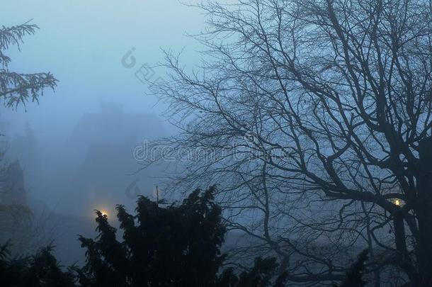 天气采用COPENHGEN早的MORN采用G雾