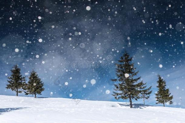 冬<strong>风景</strong>和冷杉树,<strong>雪花</strong>
