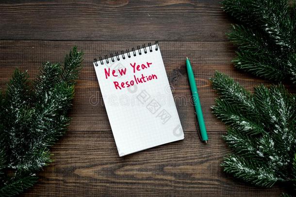 新的年决心.笔记簿整洁的衣着整洁的树枝向黑暗的木制的