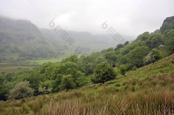 小河谷格温南特山谷风景条痕