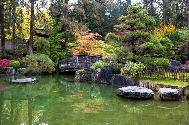 日本人禅花园