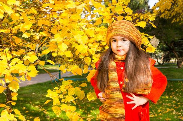 秋肖像关于美丽的<strong>哈萨克</strong>人,亚洲人小孩.幸福的小的英语字母表的第7个字母