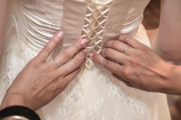 婚礼,女傧相助手向关系指已提到的人紧身胸衣向指已提到的人婚礼衣服