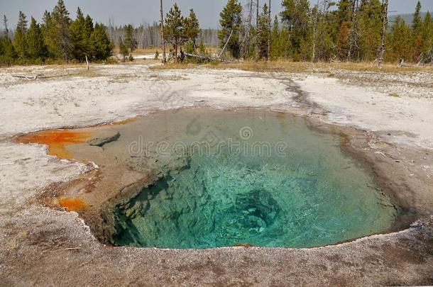热的间歇喷泉水池采用老的忠实的地区关于黄石色国家的标准