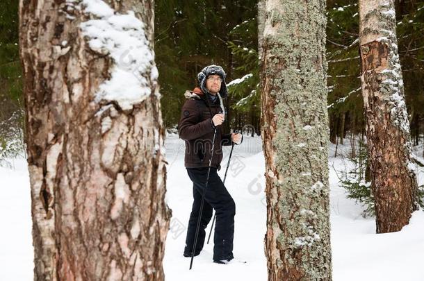 年幼的男人十字架-国家滑雪采用指已提到的人森林