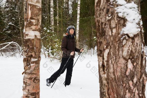 年幼的男人十字架-国家滑雪采用指已提到的人森林