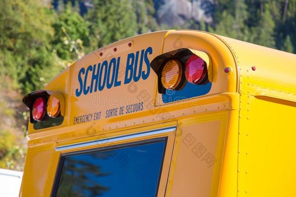 饲养符号黄色的学校公共汽车和煦的：照到阳光的一天绿色的树特写镜头