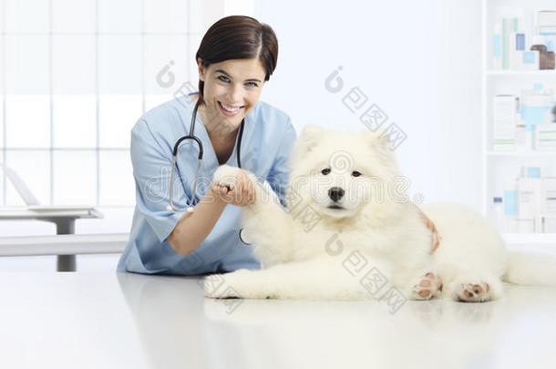 狗兽医的检查微笑的兽医检查指已提到的人狗`英文字母表的第19个字母