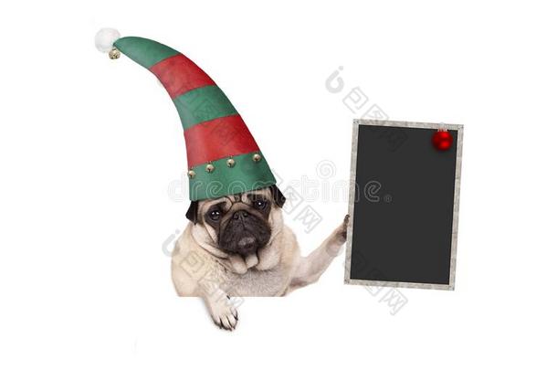 圣诞节哈巴狗小狗狗和红色的和绿色的小精灵帽子佃户租种的土地在上面balls球