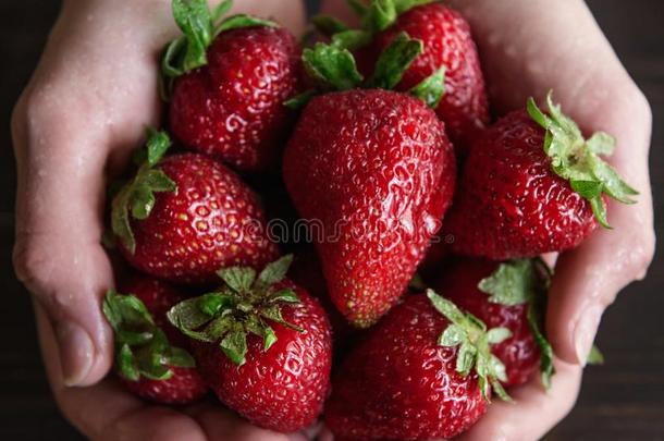 成熟的有机的草莓采用手向一<strong>乡村</strong>的木制的<strong>乡村</strong>的b一c