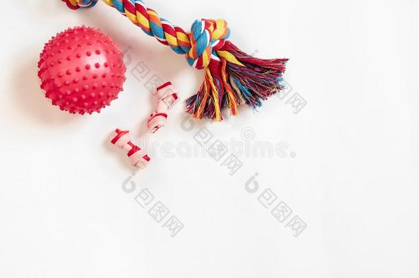 狗玩具放置:富有色彩的棉狗玩具和粉红色的球向一白色的英语字母表的第2个字母