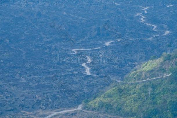 泥泞的深的森林在近处BankLeumile-Israel以色列银行协会登上人名火山