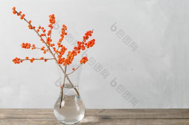冬树枝和浆果采用玻璃装饰瓶向白色的墙后座