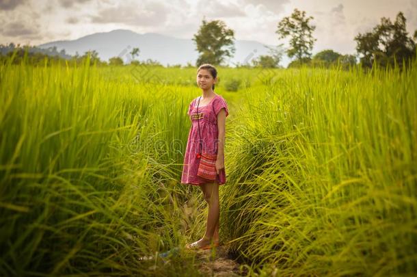 幸福的亚洲人女孩享有采用绿色的稻田,乡村关于泰尔