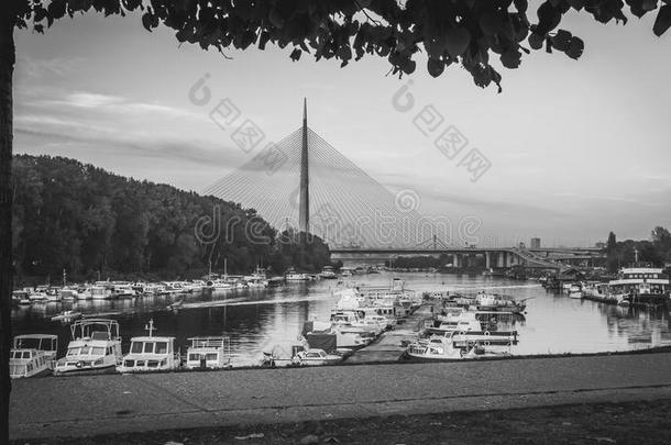 新的桥和海的采用贝尔格莱德城市