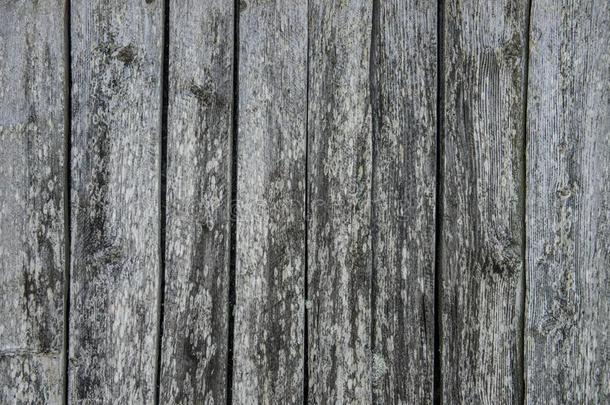 老的风化的木材木板.