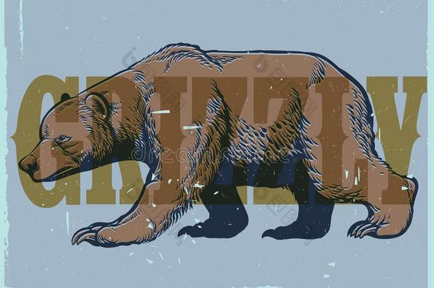 手绘画方式关于酿酒的灰白头发的熊海报