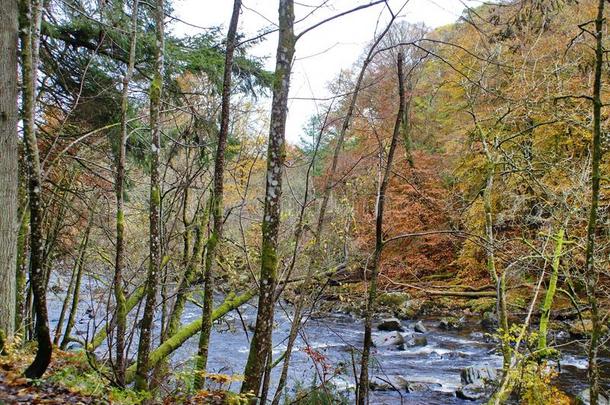 河<strong>手链</strong>跑步通过指已提到的人隐居处森林,苏格兰