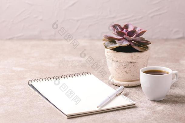 笔记簿,笔,多汁的植物和咖啡豆.工作场所.水平的