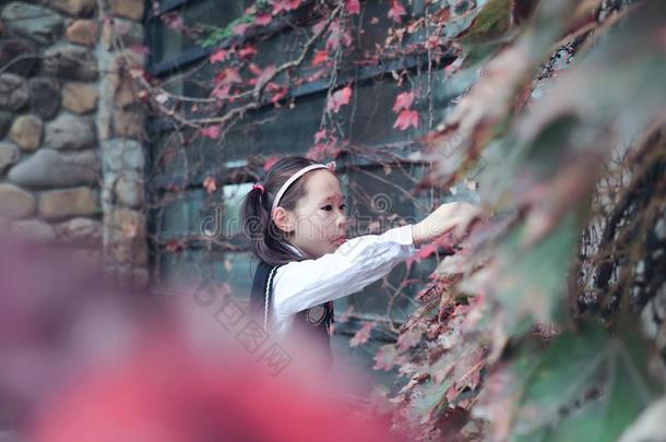 漂亮的亚洲人小的美丽的女孩勇气枫树叶子