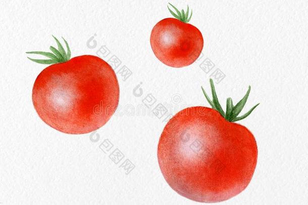 海报和红色的<strong>水彩绘</strong>画和字体有机的番茄