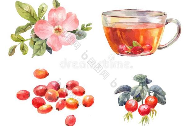 玫瑰花水彩.茶水和玫瑰higimpactpolystyrene高冲击强度聚苯乙烯.花,浆果,和采用
