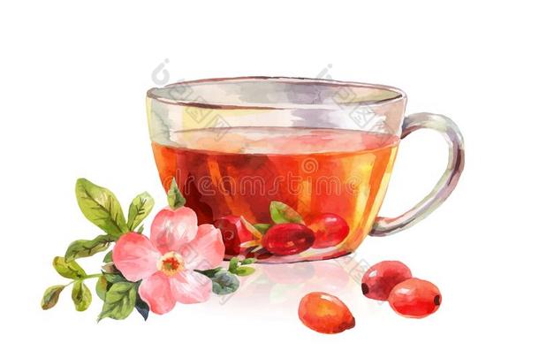 玻璃马克杯关于药草的茶水.喝玫瑰果茶水.美丽的水彩