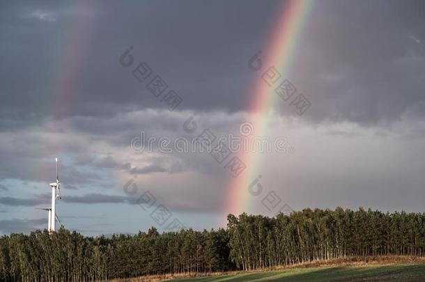 一彩虹形状越过一森林一fter一n一fternoon<strong>雷阵雨</strong>