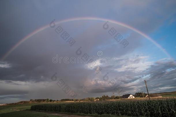 一彩虹形状越过一森林一fter一n一fternoon<strong>雷阵雨</strong>