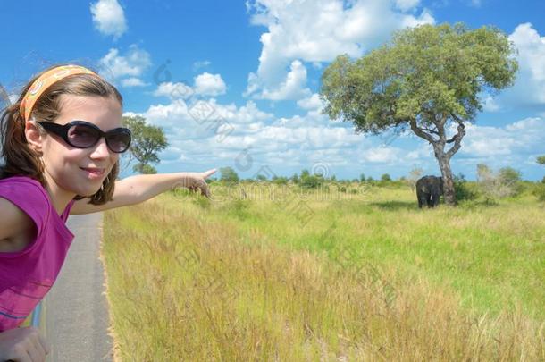 家庭游猎假期采用非洲,小孩采用汽车<strong>watch</strong>采用g象