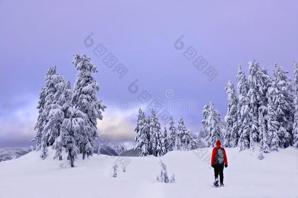 冬雪鞋徒步旅行采用mounta采用s.