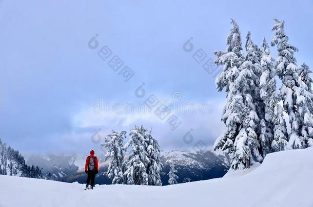 冬雪鞋徒步旅行采用mounta采用s.