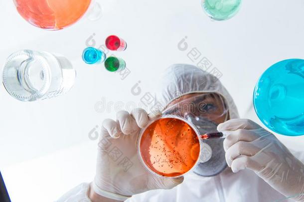 指已提到的人化学家工作的采用指已提到的人实验室和冒险的化学药品