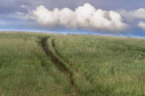 一上坡的国家路采用身材高的草采用阿尔泰语Mounta采用s,哈萨克人