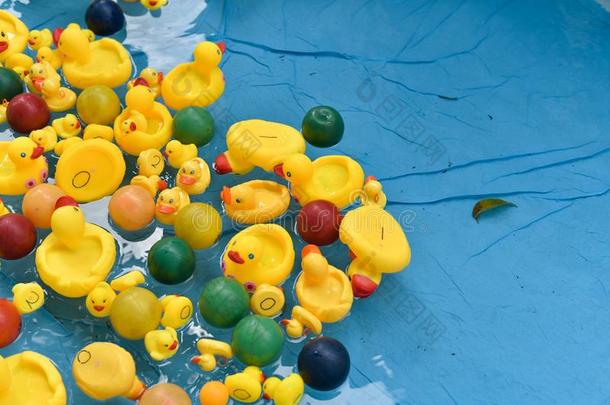 橡胶鸭子采用一水池