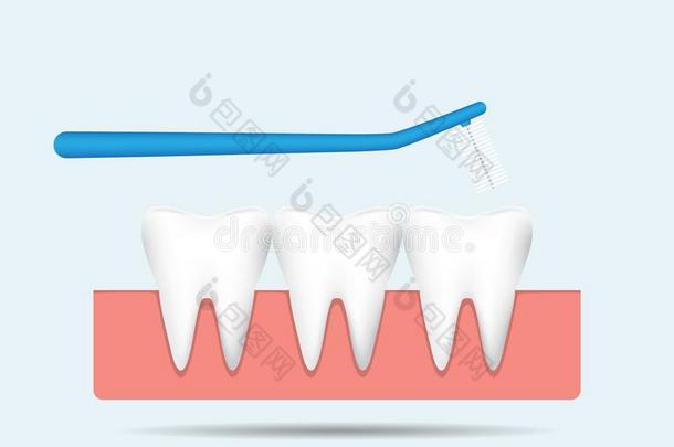 牙齿之间的刷子和牙向口香糖向蓝色背景,牙齿的英语字母表的第3个字母