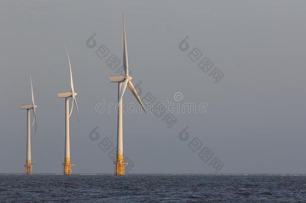 海上的风涡轮机.风电场向指已提到的人海horiz向.干净的精力充沛