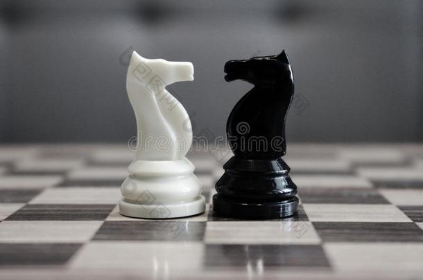 黑的和白色的棋马采用前面关于每别的同样地挑战