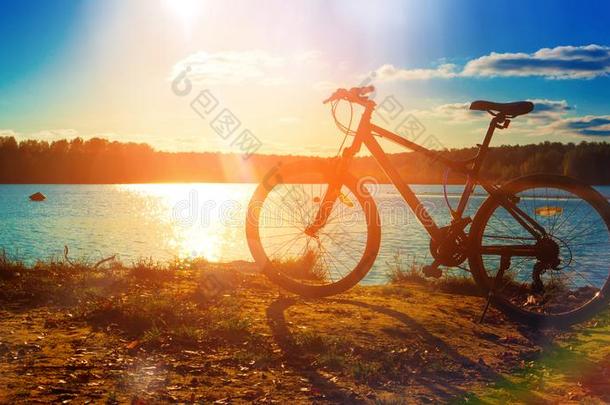 自行车轮廓在日落湖,采用秋,美丽的<strong>园林</strong>景观
