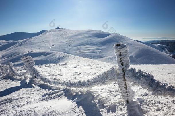 山滑雪求助-自然和运动照片