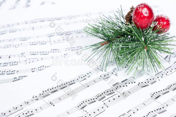 圣诞节歌曲,圣诞节树树枝向音乐纸
