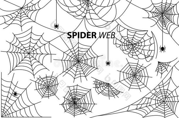 蜘蛛蜘蛛网收集关于插图向白色的