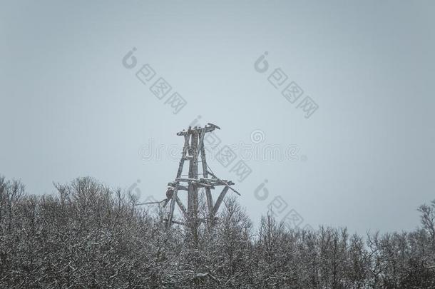 一下雪的风景和一老的铜我的采用中央的挪威.心危险指数