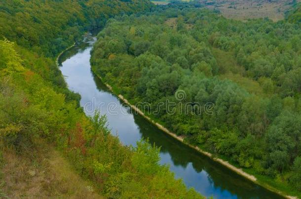 一野生的自然的蜿蜒的河流河在中草地和森林.指已提到的人