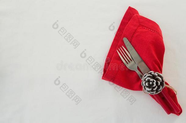餐叉,黄油刀和松树圆锥体系和餐巾