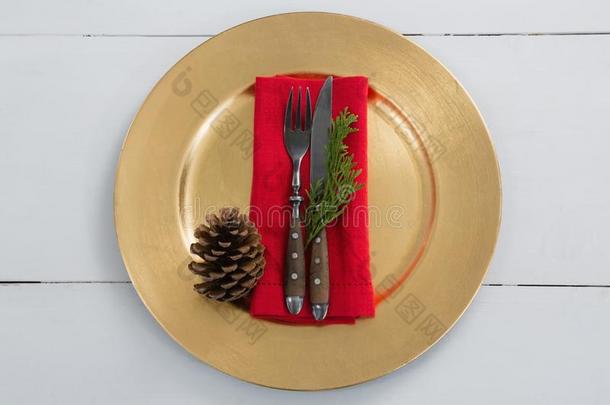 餐具和餐巾,羊齿植物和松树圆锥体采用一pl一te
